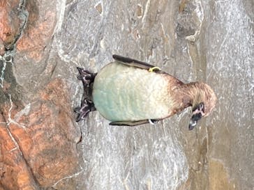 アクアワールド茨城県大洗水族館に投稿された画像（2020/7/23）
