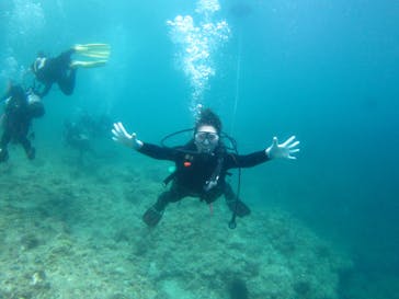 沖縄ダイビング ピンクマーメイドに投稿された画像（2020/7/23）