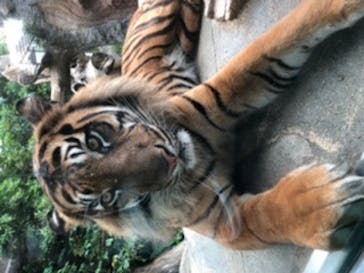 神戸どうぶつ王国に投稿された画像（2020/7/23）