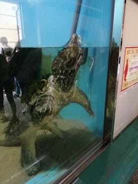 株式会社Gに投稿された画像（2020/7/23）