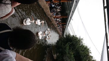 神戸どうぶつ王国に投稿された画像（2020/7/23）