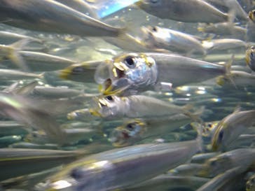 株式会社Gに投稿された画像（2020/7/23）