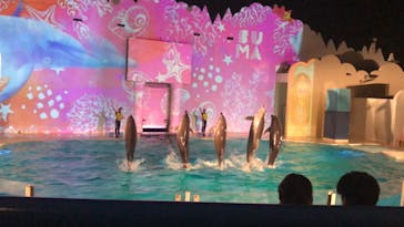 株式会社Gに投稿された画像（2020/7/23）