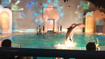 株式会社Gに投稿された画像（2020/7/23）