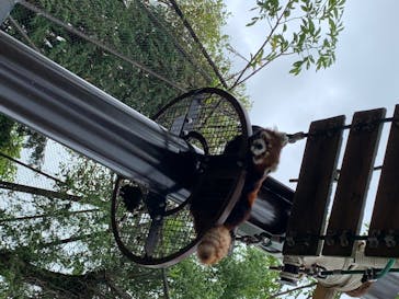 旭川市旭山動物園に投稿された画像（2020/7/23）