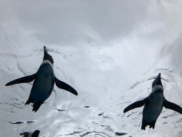 サンシャイン水族館に投稿された画像（2020/7/23）