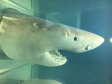 株式会社Gに投稿された画像（2020/7/23）