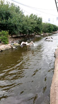 神戸どうぶつ王国に投稿された画像（2020/7/23）