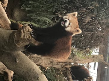 神戸どうぶつ王国に投稿された画像（2020/7/23）