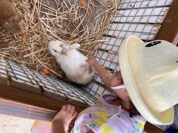 しろとり動物園に投稿された画像（2020/7/23）