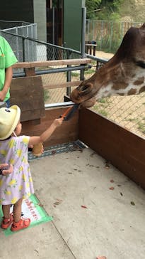 しろとり動物園に投稿された画像（2020/7/23）