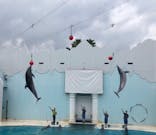 株式会社Gに投稿された画像（2020/7/24）