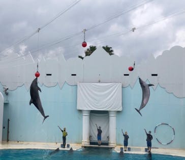 株式会社Gに投稿された画像（2020/7/23）