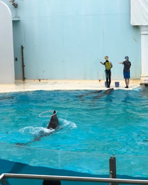 株式会社Gに投稿された画像（2020/7/23）