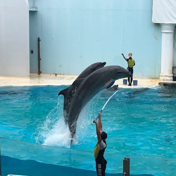 株式会社Gに投稿された画像（2020/7/23）