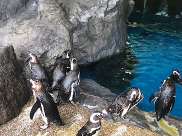 株式会社Gに投稿された画像（2020/7/23）