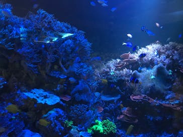 株式会社Gに投稿された画像（2020/7/23）