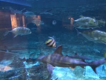 株式会社Gに投稿された画像（2020/7/23）