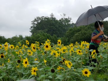 ふなばしアンデルセン公園に投稿された画像（2020/7/23）