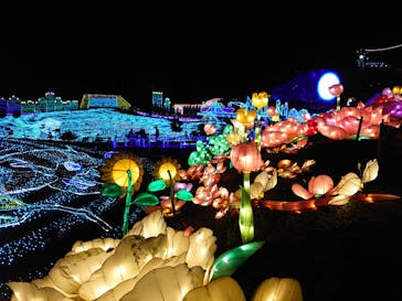 伊豆ぐらんぱる公園に投稿された画像（2020/7/23）