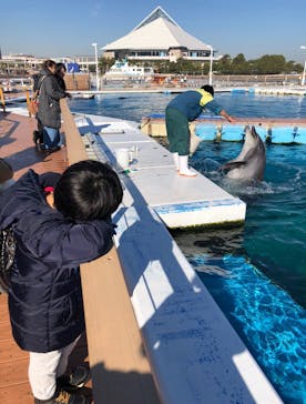 横浜・八景島シーパラダイスに投稿された画像（2020/7/23）