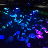 すみだ水族館に投稿された画像（2020/7/24）