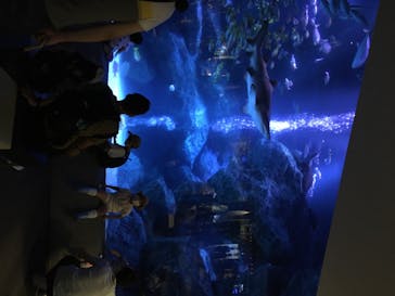 すみだ水族館に投稿された画像（2020/7/24）