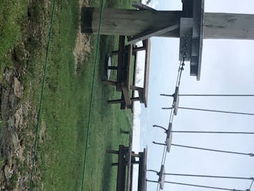 びわ湖バレイに投稿された画像（2020/7/24）