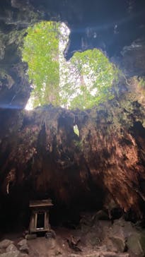 Yamakara屋久島に投稿された画像（2020/7/24）