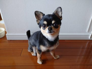 としまえんに投稿された画像（2020/7/24）