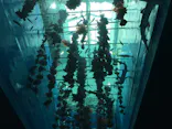 仙台うみの杜水族館に投稿された画像（2020/7/24）