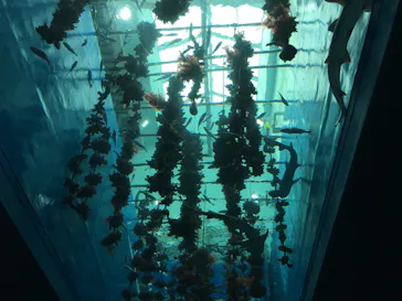 仙台うみの杜水族館に投稿された画像（2020/7/24）