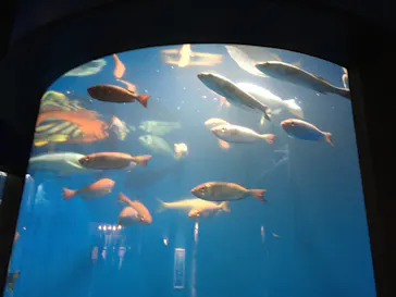 仙台うみの杜水族館に投稿された画像（2020/7/24）