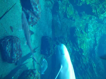 仙台うみの杜水族館に投稿された画像（2020/7/24）