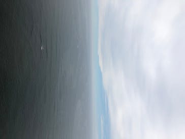 松島熱気球・パラグライダー体験に投稿された画像（2020/7/24）