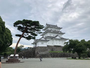 小田原城に投稿された画像（2020/7/24）