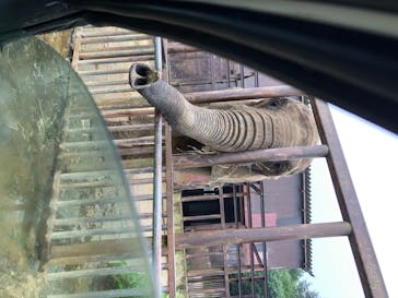 東北サファリパークに投稿された画像（2020/7/24）