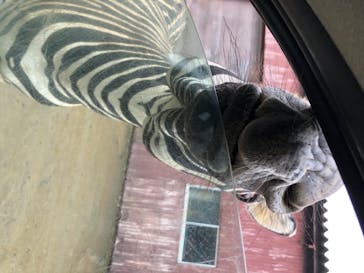 東北サファリパークに投稿された画像（2020/7/24）