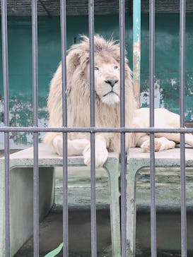 東北サファリパークに投稿された画像（2020/7/24）
