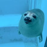 マリンワールド海の中道に投稿された画像（2020/7/24）