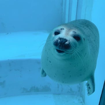 マリンワールド海の中道に投稿された画像（2020/7/24）