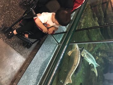 株式会社Gに投稿された画像（2020/7/24）