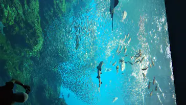 仙台うみの杜水族館に投稿された画像（2020/7/24）
