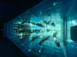 仙台うみの杜水族館に投稿された画像（2020/7/24）