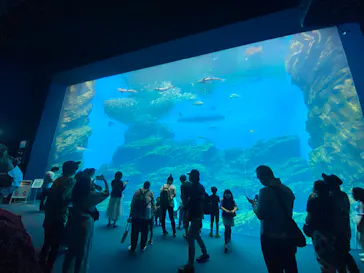仙台うみの杜水族館に投稿された画像（2020/7/24）