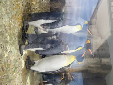 仙台うみの杜水族館に投稿された画像（2020/7/24）
