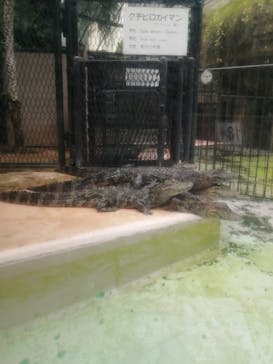 熱川バナナワニ園に投稿された画像（2020/7/24）