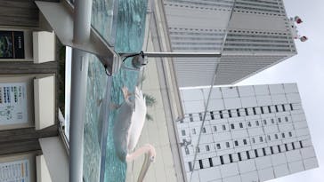 サンシャイン水族館に投稿された画像（2020/7/24）