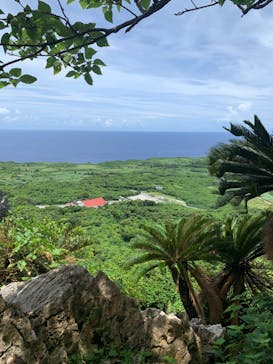 アスムイハイクスに投稿された画像（2020/7/24）