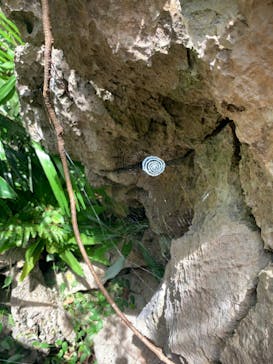 アスムイハイクスに投稿された画像（2020/7/24）